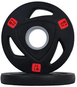 Signature Fitness 25LB Olympic Cast Iron Weight Plates