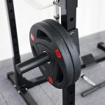 Signature Fitness 25LB Olympic Cast Iron Weight Plates