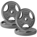 Yes4All 10lb Cast Iron Weight Plates for Dumbbells