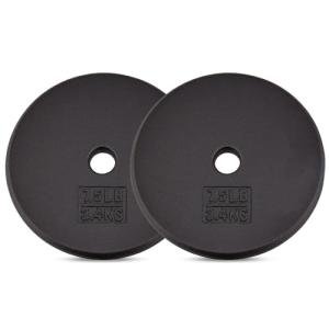 Yes4All 1-inch Cast Iron Weight Plates Pack of 2
