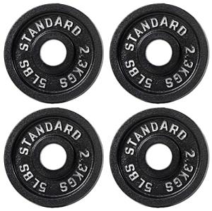 Fitvids 5LB Olympic Cast Iron Weight Plates Set