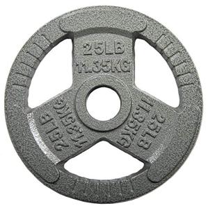 Fitvids 25LB Cast Iron Weight Plate