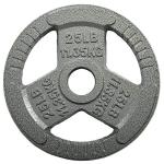 Fitvids 25LB Cast Iron Weight Plate