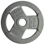 Fitvids 25LB Cast Iron Weight Plate