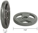 Fitvids 25LB Cast Iron Weight Plate