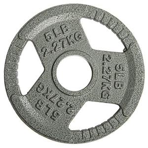 Fitvids Cast Iron Weight Plate, 5LB Single