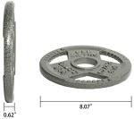 Fitvids Cast Iron Weight Plate, 5LB Single