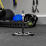 5lb Steel Olympic Weight Plate Pair