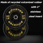 Hi-Temp Olympic Bumper Plates with Steel Insert (35LB x 2)