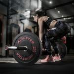 Hi-Temp Olympic Bumper Plates with Steel Insert (35LB x 2)