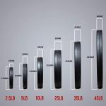 REP 5 lb Rubber Coated Olympic Weight Plates