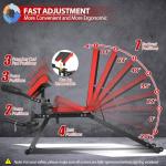 Adjustable Weight Bench with Leg Extension and Curl