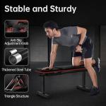 PASYOU PB200 Adjustable Flat Bench for Home Gym