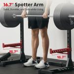 FLYBIRD Adjustable Squat Rack with Pull-Up Bar