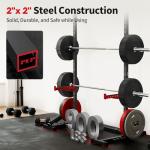 FLYBIRD Adjustable Squat Rack with Pull-Up Bar