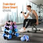 Compact A-Frame Dumbbell Rack for Home Gyms