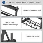 3-Tier Dumbbell Rack and Weight Plate Stand