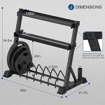 3-Tier Dumbbell Rack and Weight Plate Stand