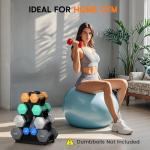 4-Tier Dumbbell Rack for Home Gym Storage