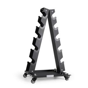 LIONSCOOL A-Frame Dumbbell Rack with Wheels
