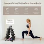 LIONSCOOL A-Frame Dumbbell Rack with Wheels