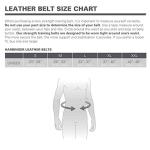 Harbinger Padded Leather Weightlifting Belt - 4" or 6”
