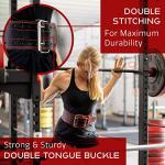 Dark Iron Fitness Weight Lifting Belt for Powerlifting