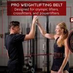 Dark Iron Fitness Weight Lifting Belt for Powerlifting