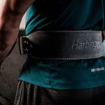 Harbinger Padded Leather Weightlifting Belt - Large Black