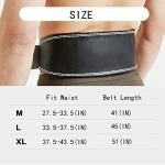 Weight Lifting Belt for Back Support - Black