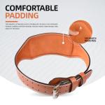 Leather Weight Lifting Belt with Padded Support