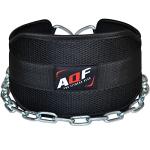 AQF Weightlifting Dip Belt with Steel Chain