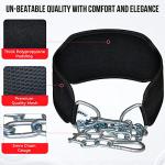 AQF Weightlifting Dip Belt with Steel Chain