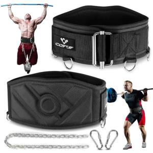 3-in-1 Weighted Pull-Up and Dip Belt