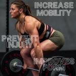 Schiek Sports 2006 Pink Weight Lifting Belt