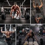 RDX Heavy Duty Weightlifting Lifting Straps