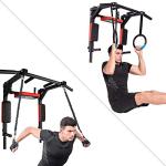 Heavy Duty Wall Mounted Pull Up Bar and Dip Station