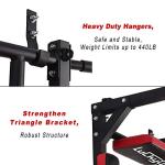 Heavy Duty Wall Mounted Pull Up Bar and Dip Station