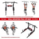 Wall Mounted Pull Up Bar and Dip Station