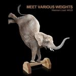 Wooden Push-Up Bars with Non-Slip Base - 2 PCS