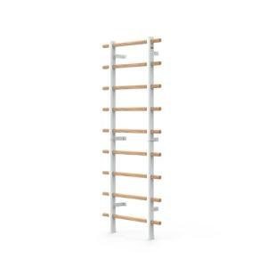 Swedish Ladder Wall Gym with Suspension Trainer