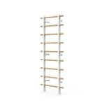 Swedish Ladder Wall Gym with Suspension Trainer
