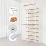 Swedish Ladder Wall Gym with Suspension Trainer