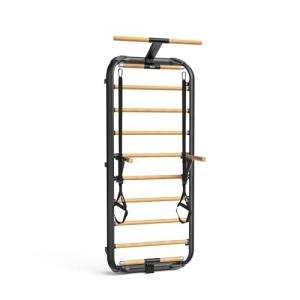 Swedish Ladder 2.0 with Pull-Up and Dip Bar