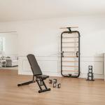 Swedish Ladder 2.0 with Pull-Up and Dip Bar