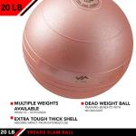 20 LB JFIT Slam Ball in Rose Gold