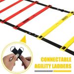 20-Foot Agility Ladder with Cones for Training
