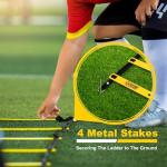 20-Foot Agility Ladder with Cones for Training