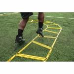 SKLZ Pro Agility Trainer for Multi-Directional Workouts