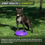 ProsourceFit Core Balance Disc Trainer with Pump
